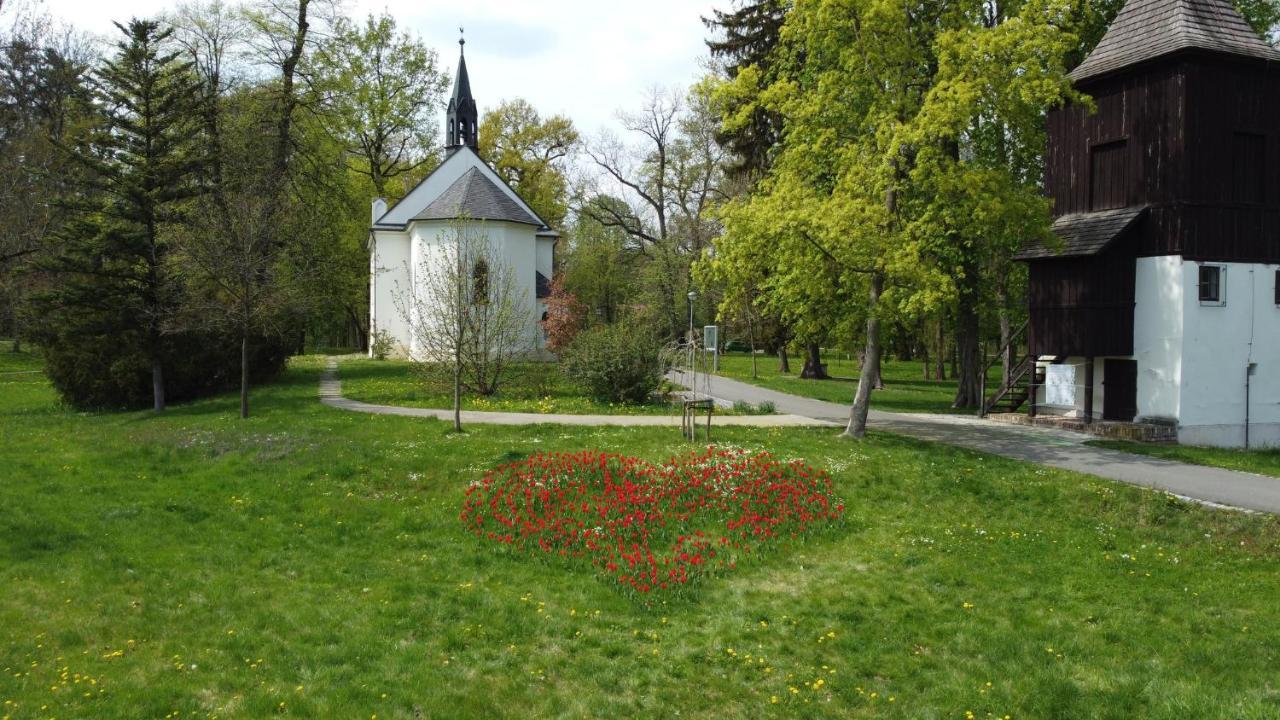 Homestay Poděbrady Екстериор снимка
