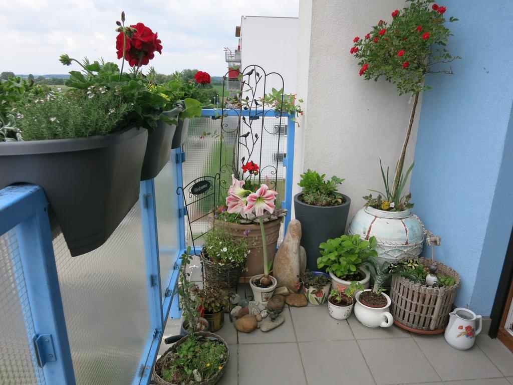 Homestay Poděbrady Екстериор снимка
