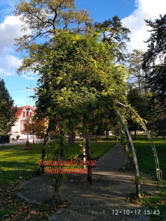 Homestay Poděbrady Екстериор снимка